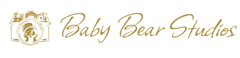 Baby Bear Studios New Born Photographer Logo